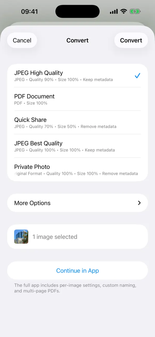 Share Extension sheet with one-tap conversion presets