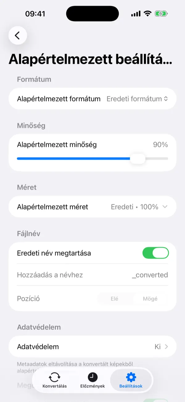 Convert screen with a selected photo and conversion options
