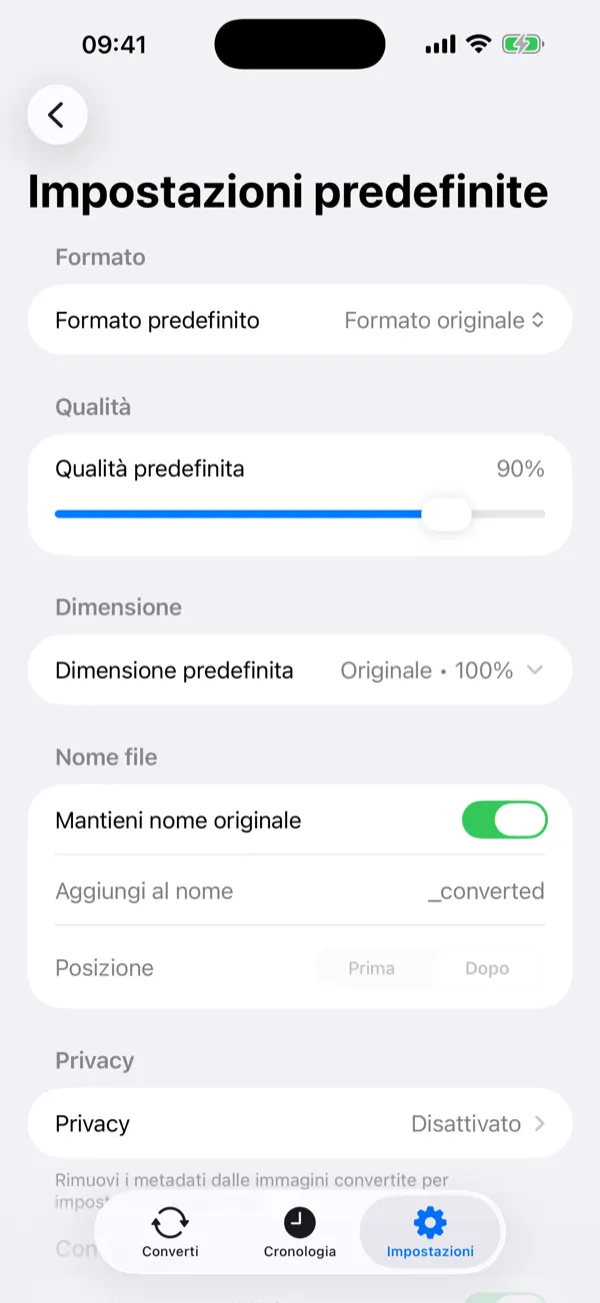 Convert screen with a selected photo and conversion options