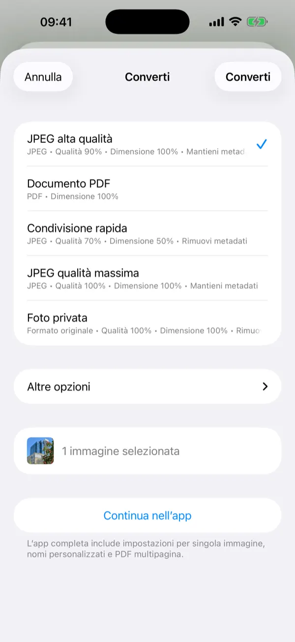 Pannello della Share Extension con preset di conversione con un tocco